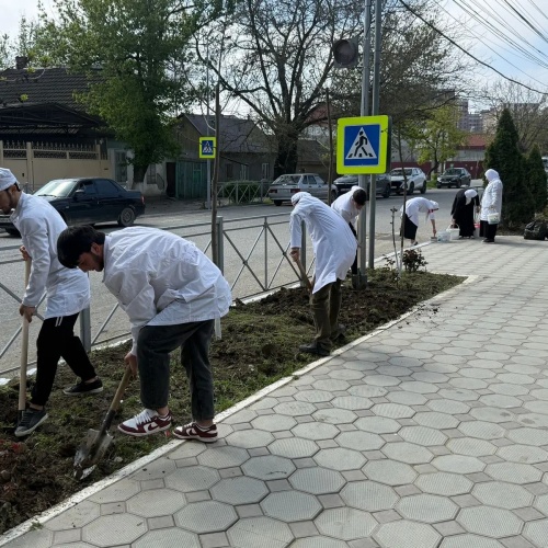 НАВОДИМ ПОРЯДОК ВМЕСТЕ